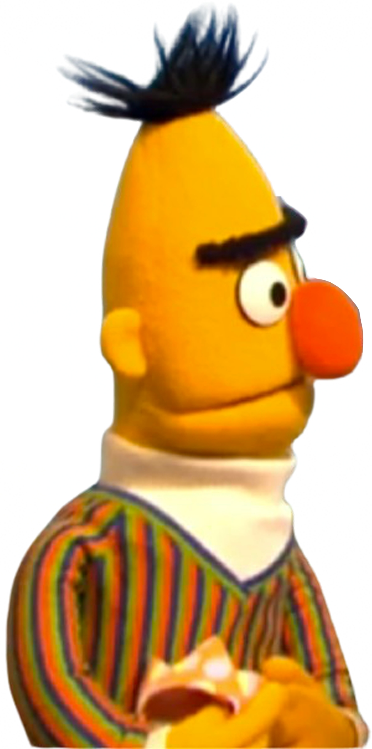 Bert vector by MrToonlover83 on DeviantArt