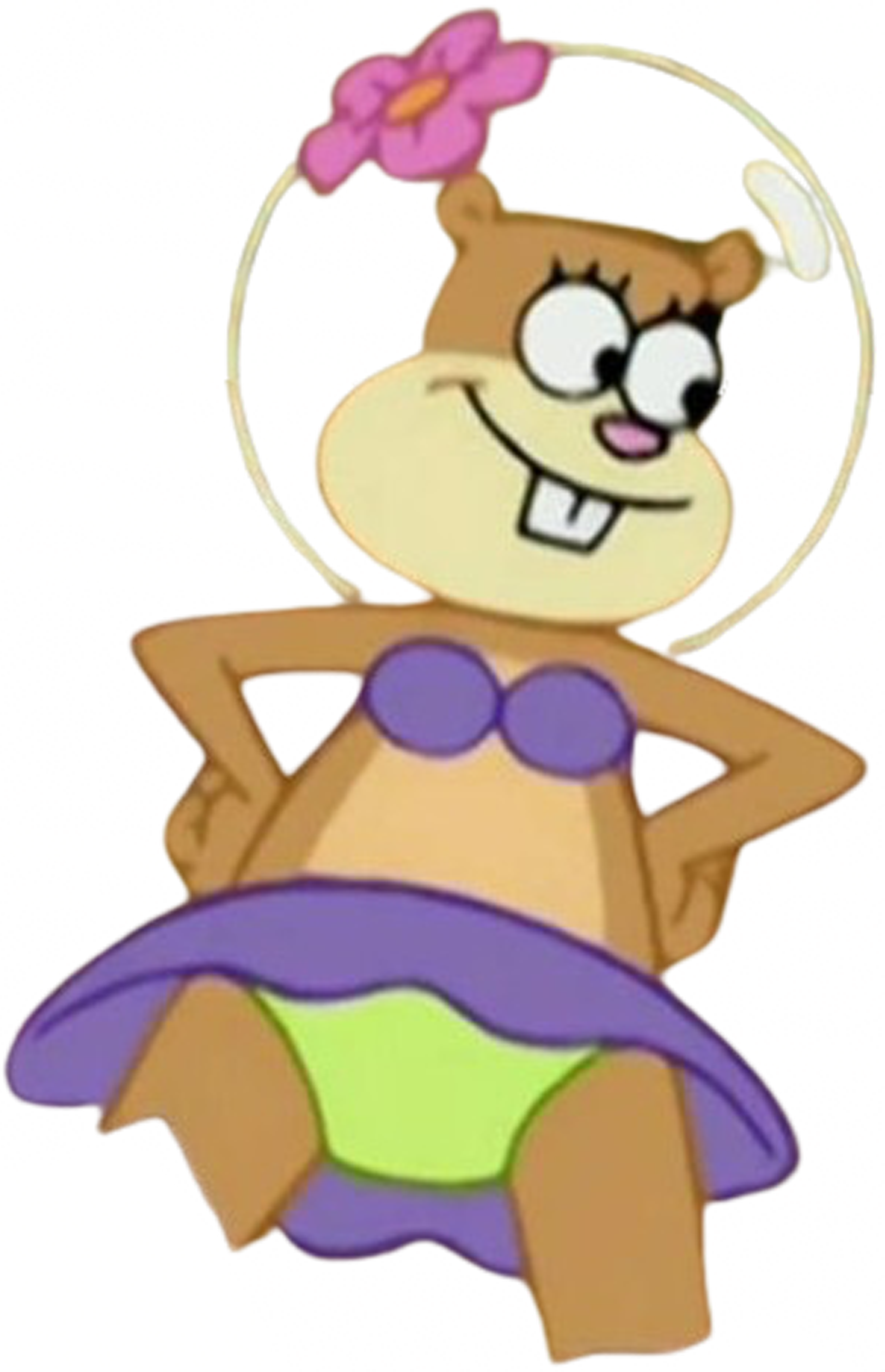 Sandy Vector Sandy Cheeks vector 32 by MrToonlover83 on DeviantArt