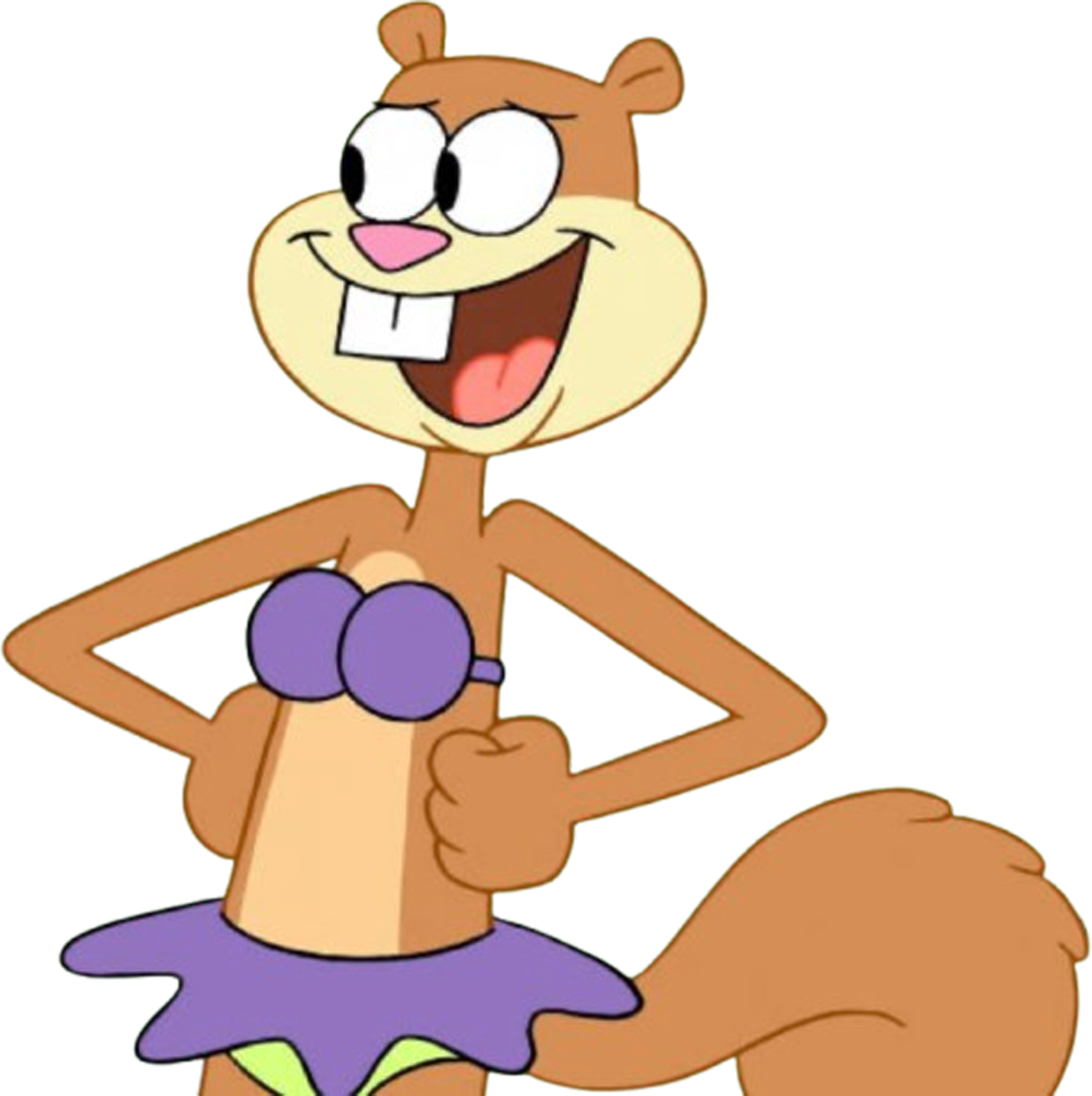 Sandy Vector Sandy Cheeks vector 44 by MrToonlover83 on DeviantArt