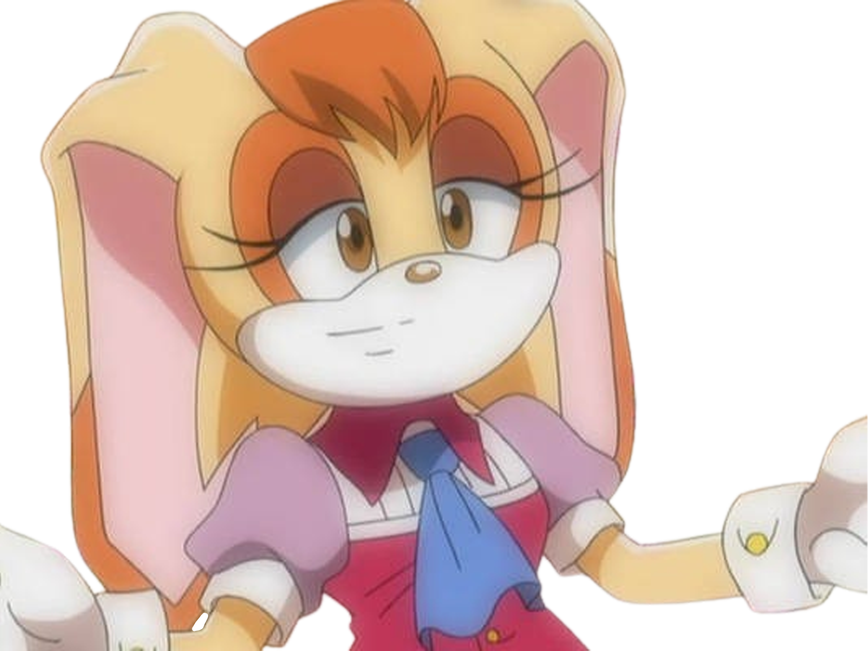 Vanilla The Rabbit Fall Vanilla The Rabbit Sonic X Our Dearest Mother To Cream, Vanilla The