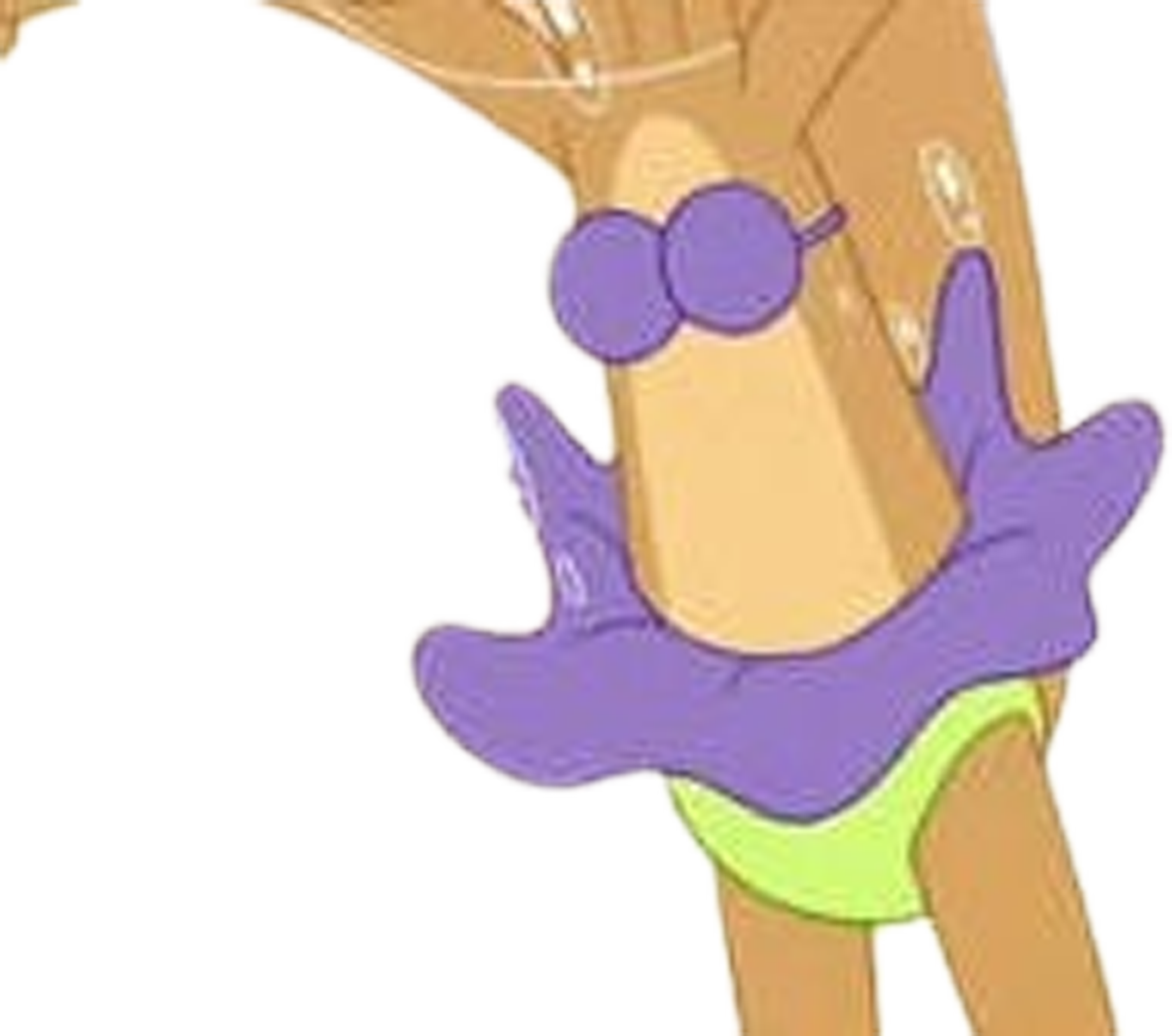 Sandy Vector Sandy Cheeks vector 49 by MrToonlover83 on DeviantArt