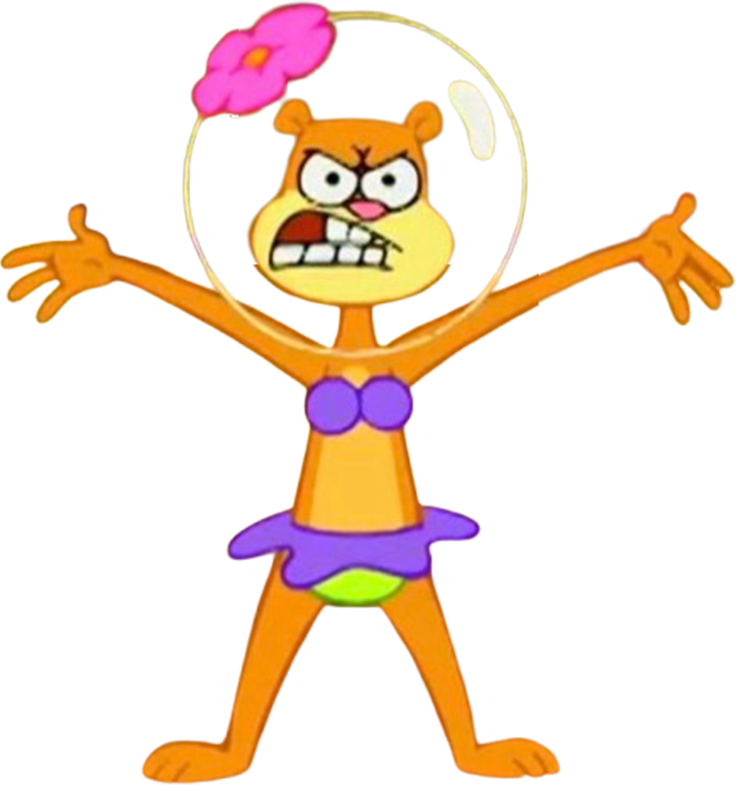 Sandy Vector Sandy Cheeks vector 50 by MrToonlover83 on DeviantArt