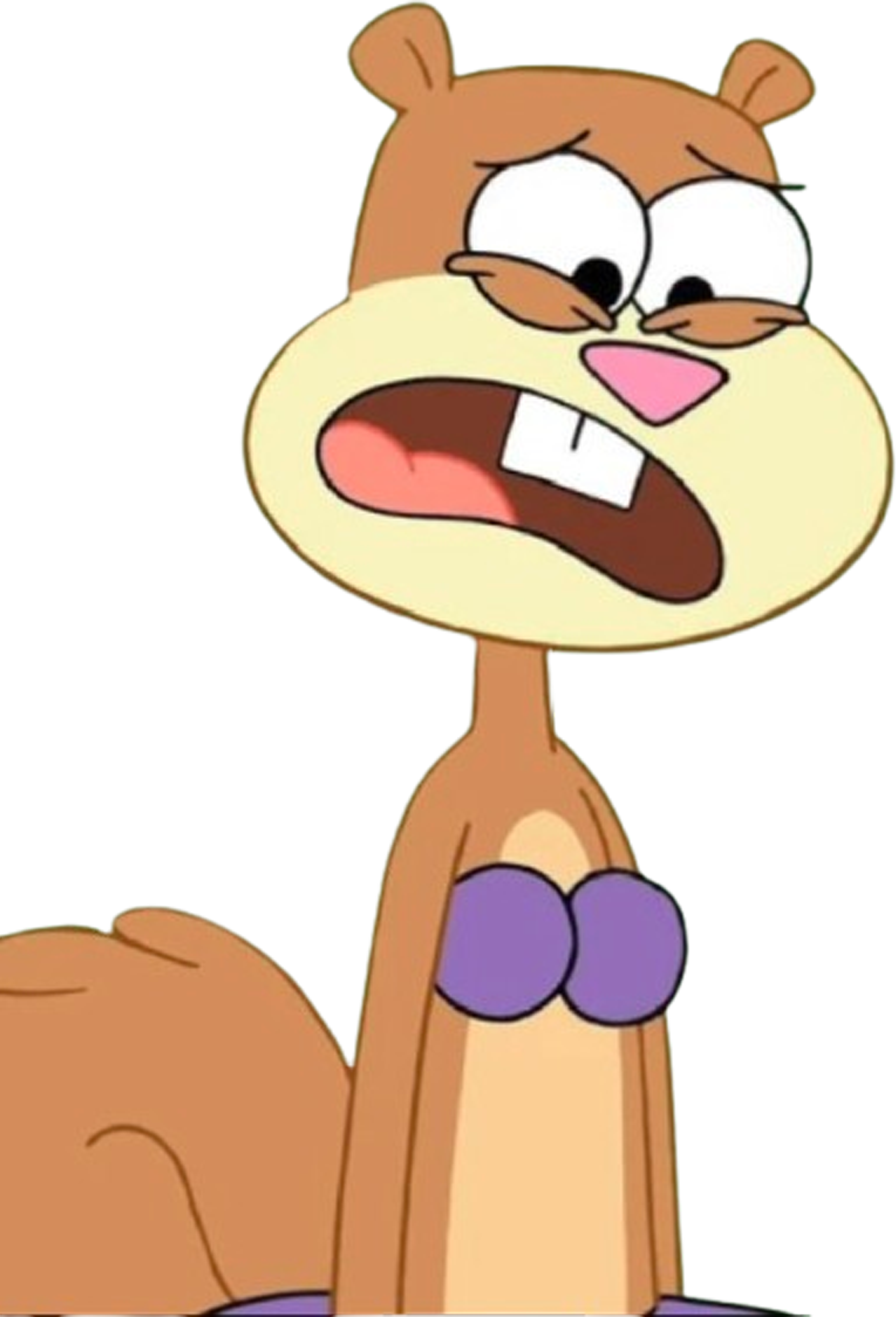Sandy Vector Sandy Cheeks vector 52 by MrToonlover83 on DeviantArt