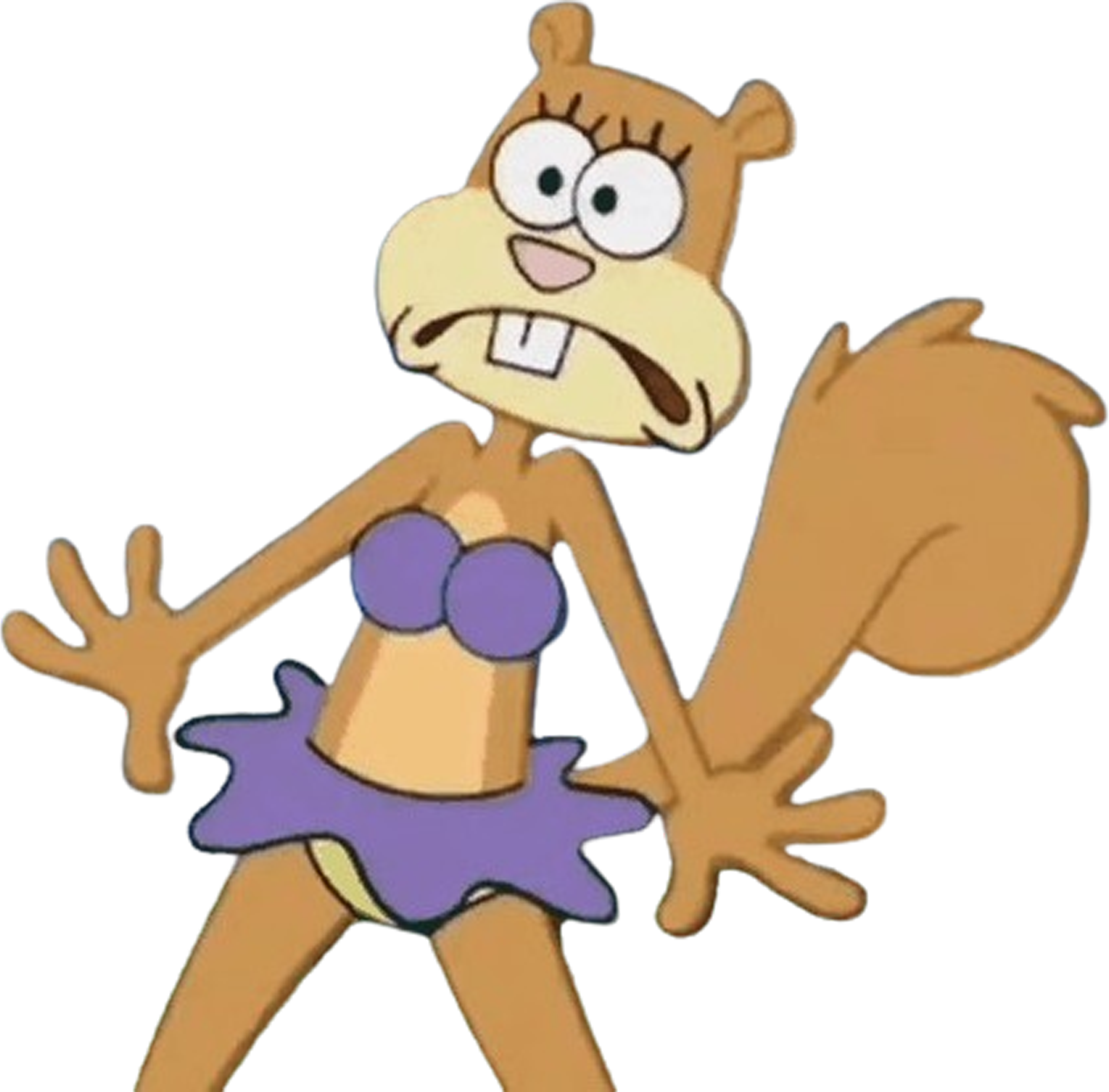 Sandy Vector Sandy Cheeks vector 53 by MrToonlover83 on DeviantArt