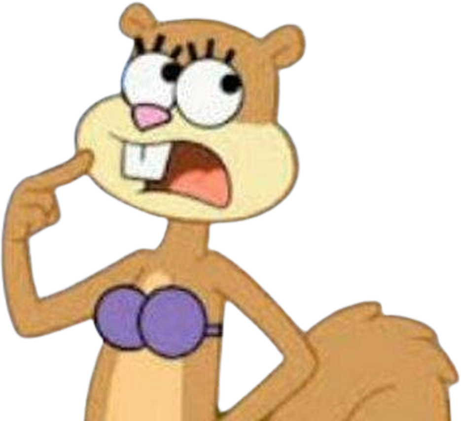 Sandy Vector Sandy Cheeks vector 56 by MrToonlover83 on DeviantArt