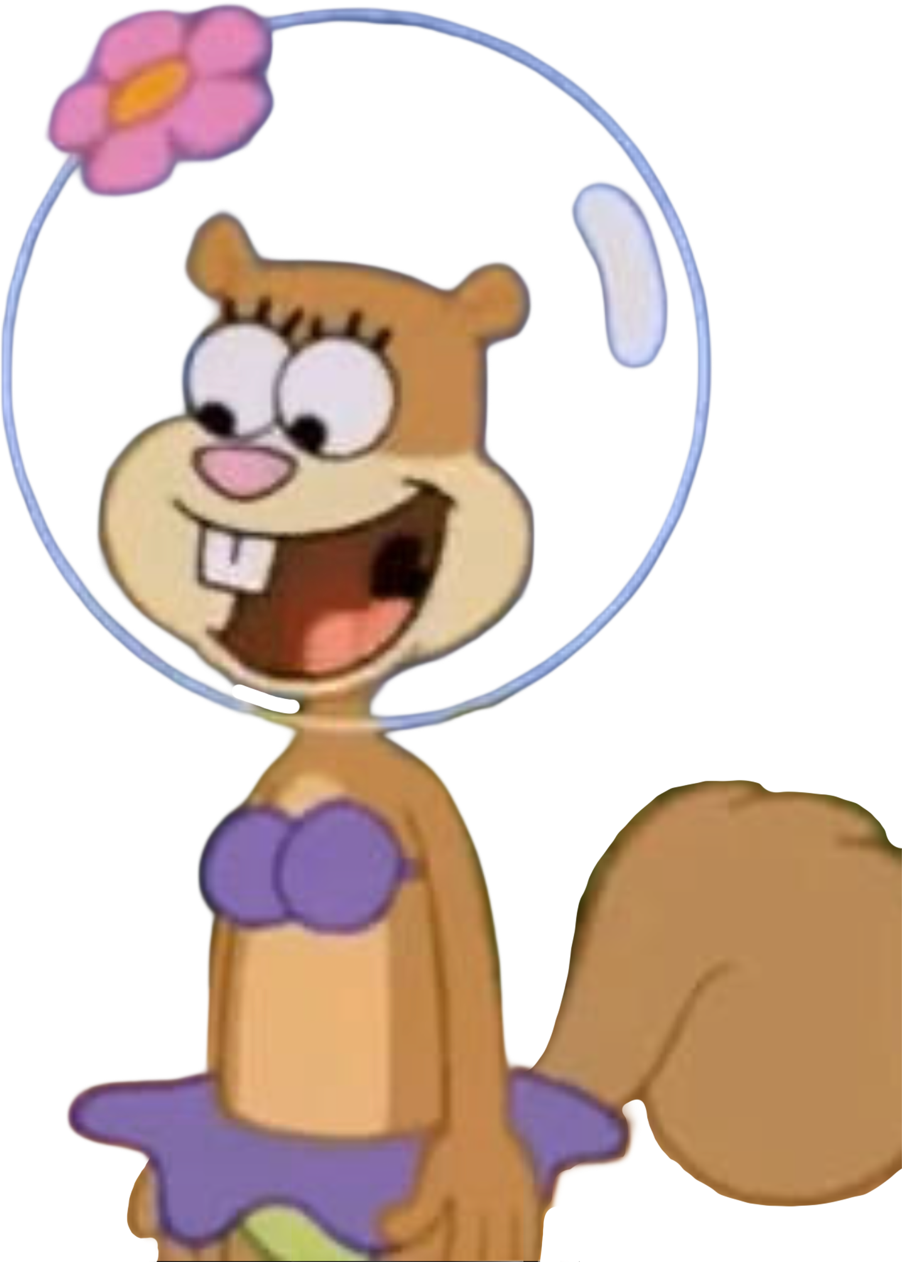 Sandy Vector Sandy Cheeks vector 71 by IloveToonssomuch on DeviantArt