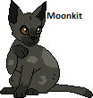 Moonkit (Warriors Oc)