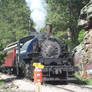 Black Hills Logger