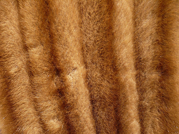 fur texture by LadyWoodsheartSTOCK