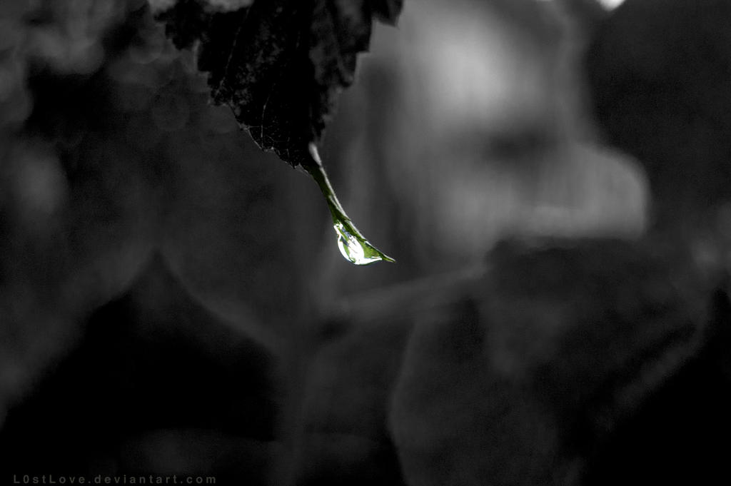 A drop of brightness - Black and white