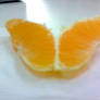 Butterfly Orange
