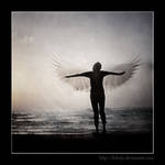 dreams of flight by Dobaju
