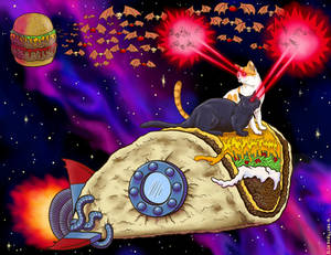 Taco cats in space