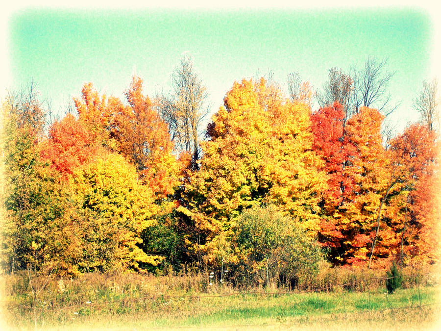 Autum Razzia autum by Blixiewithwaffles on DeviantArt