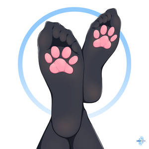 Explore the Best Paw Art | DeviantArt