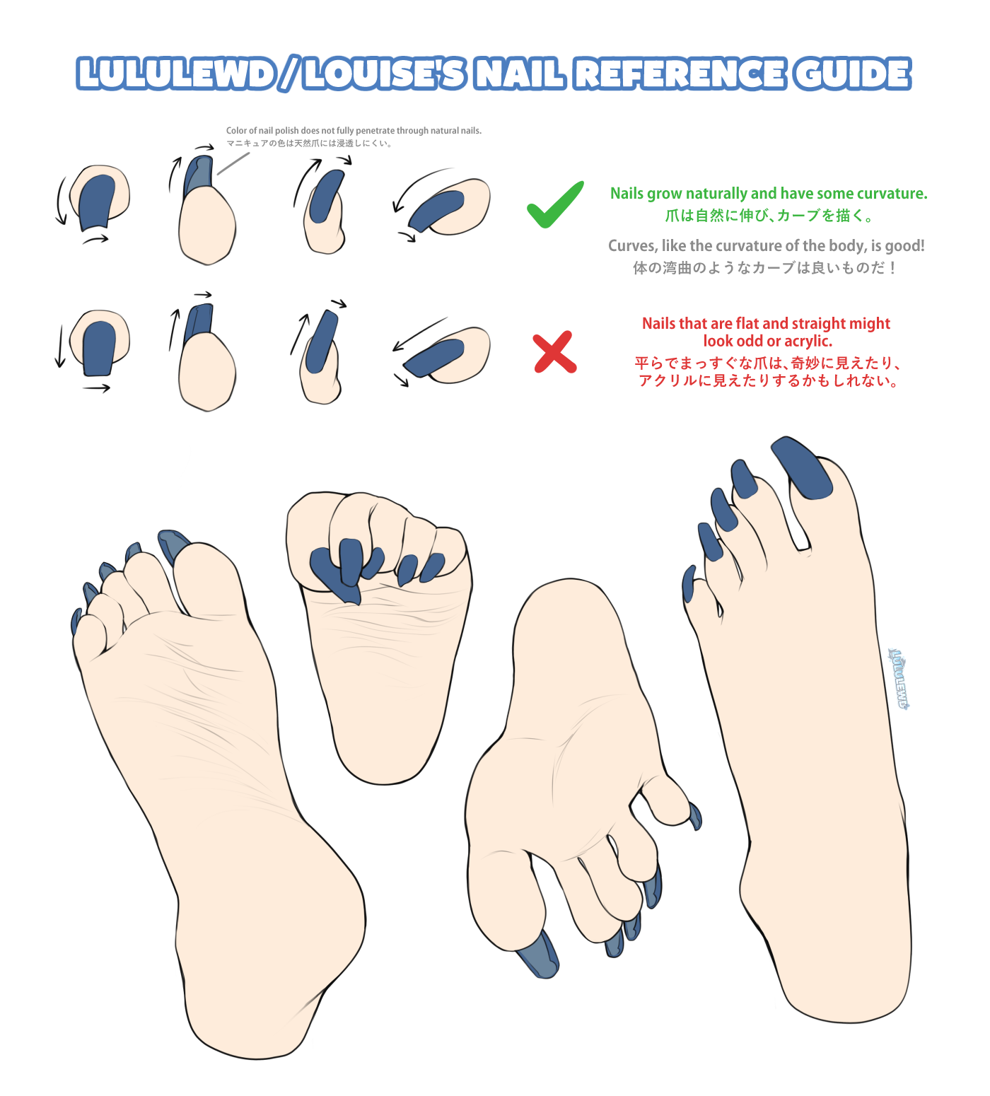 Female Nails Reference Louise's Nail Reference Guide by Lululewd on DeviantArt