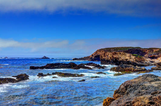 Point Lobos shoreline