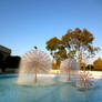 Dandelion Fountain On Campus