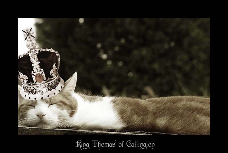 King Thomas of Cattington