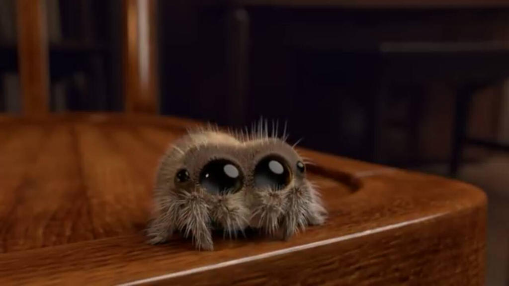 cute spooder