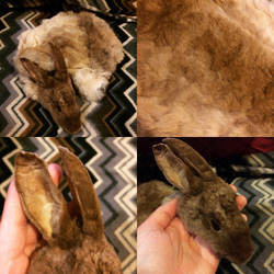 Chocolate Chinchilla Rex Rabbit Cape - SOLD!