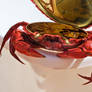 Clockwork Crab