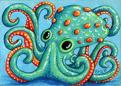 ATC - Cephalopod