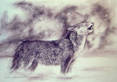 Wolf song