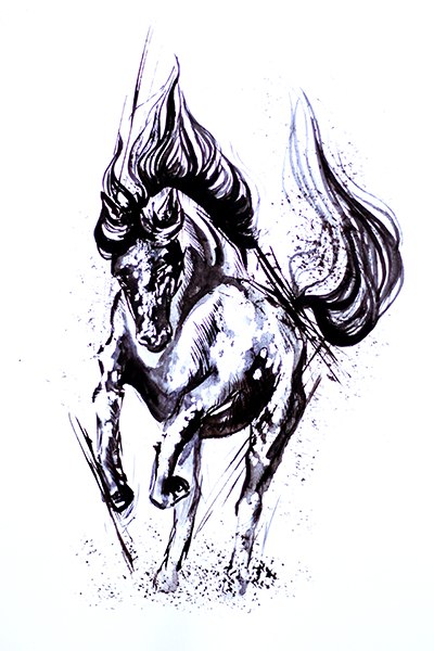 Aquarelle horse_1