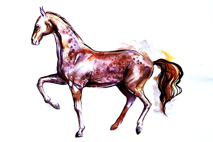 Aquarelle horse_2