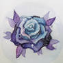 galaxy rose