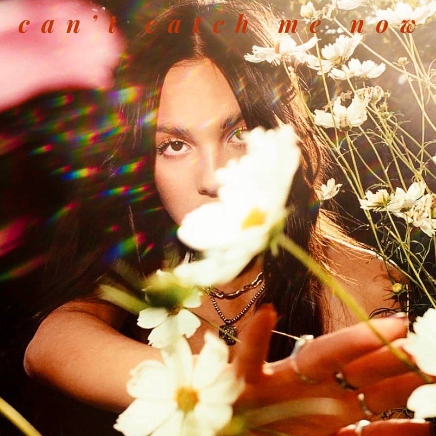 Dynamic Olivia Rodrigo Can't Catch Me Now Vinyl Artwork Illustration Dynamic Olivia Rodrigo Can't Catch Me Now Vinyl Artwork Illustration