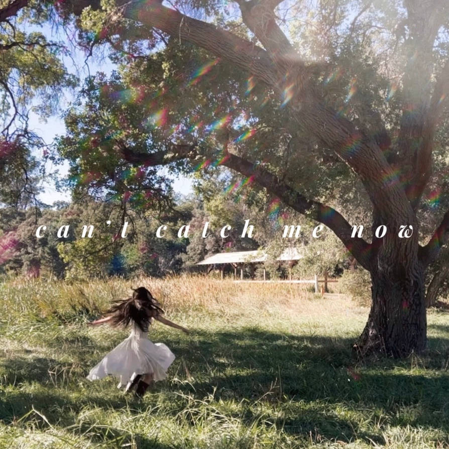 Crisp Can't Catch Me Now Vinyl Moment for Mobile Crisp Can't Catch Me Now Vinyl Moment for Mobile
