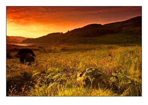 Snowdonia Landscapes No.5