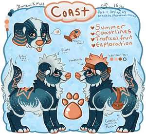 Coast explorer - $25 - OPEN