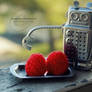 The robot who ate raspberries