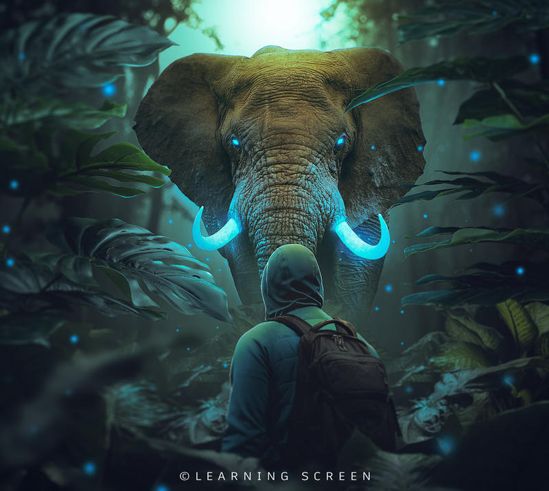 Fantasy Elephant Photo Manipulation Speed Art by LearningScreen on ...