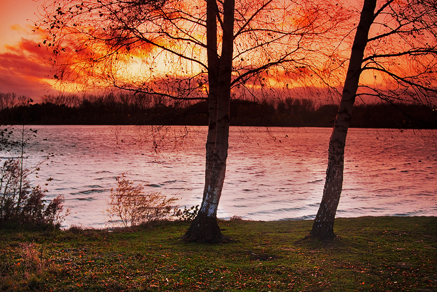 Lake Scene