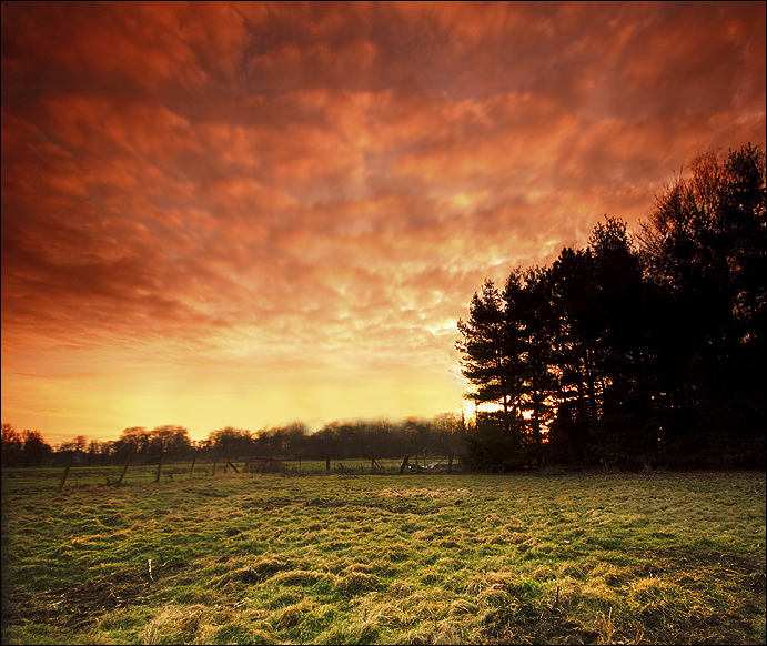 Rural View