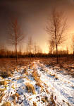 No Man's Land by jva3