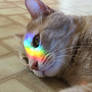 Kyo, Rainbow 3