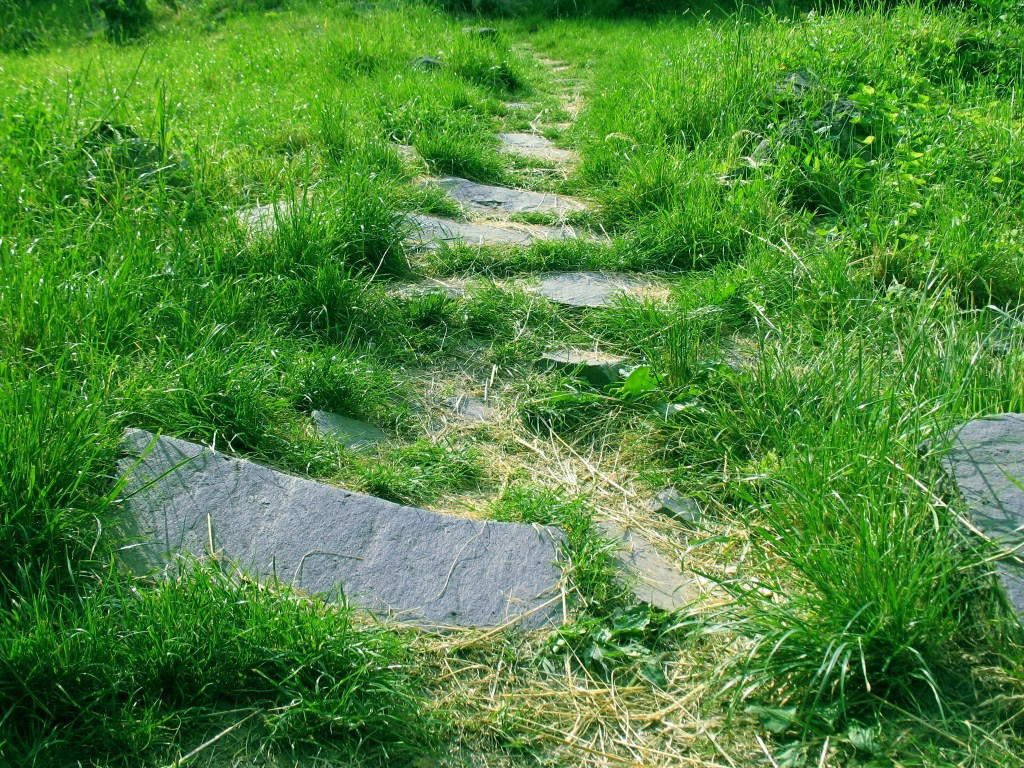 Path on grass by sufertashu on DeviantArt
