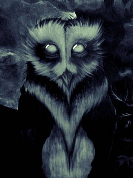 owl