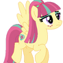 Sour Sweet Pony