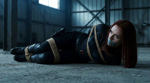 Black Widow Bound Prisoner
