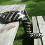 Yellow and Black Scaled Dragon Tail with Spikes