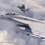 Super Hornets