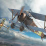 CopperState models Nieuport XVII Box Art