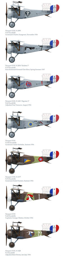 Copperstate Models Nieuport XVII Late profiles