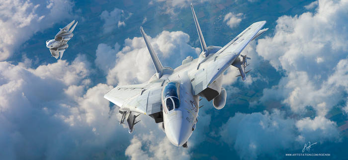 Kagero - F-14 Tomcat Grumman (wide)